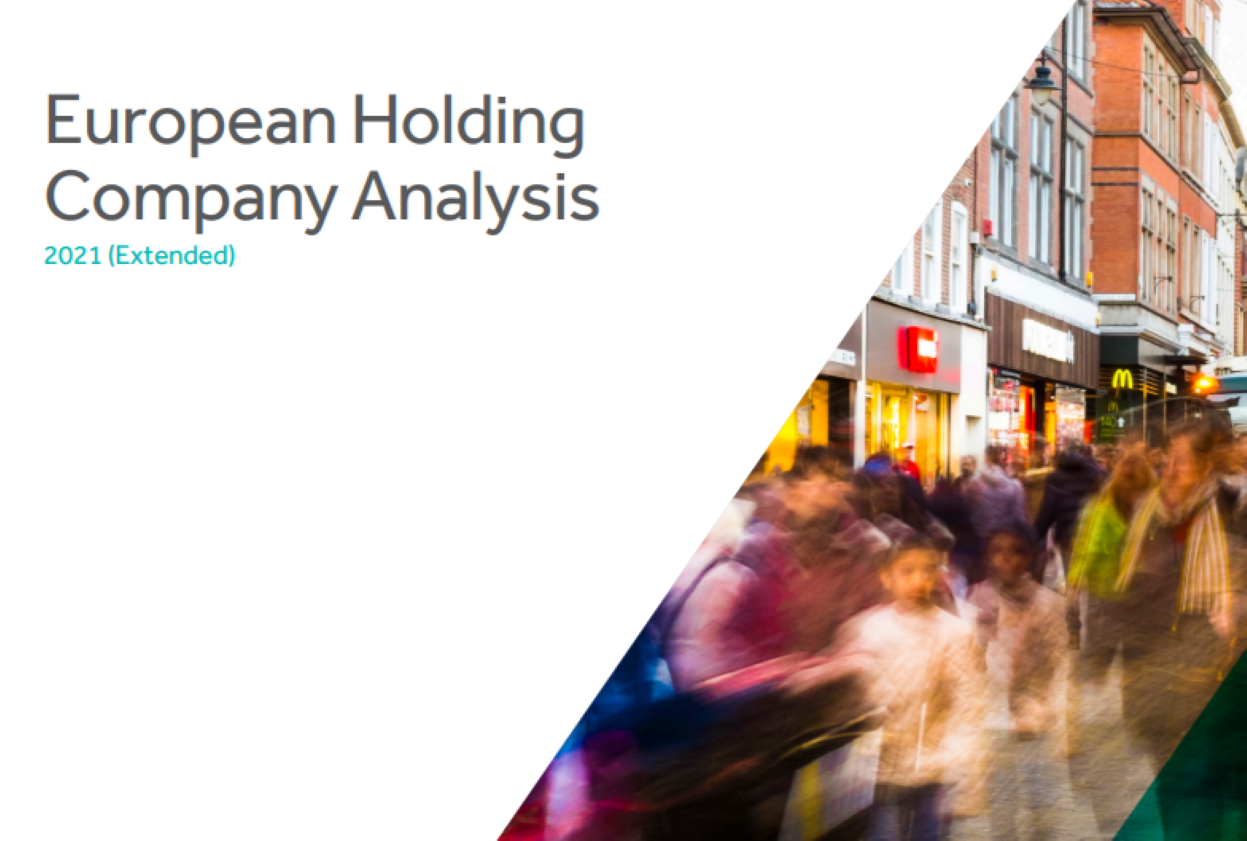 European Holding Company Analysis